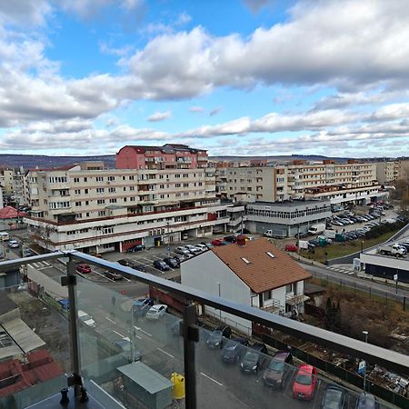 Park Lake Near Iulius Mall, Wi-Fi, Walk-In Showe Cluj-Napoca Exterior foto